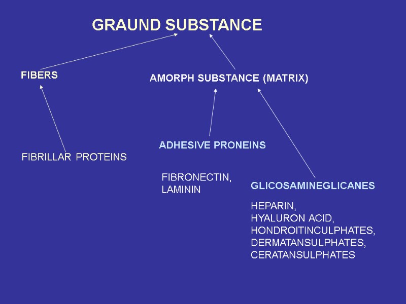 GRAUND SUBSTANCE FIBERS AMORPH SUBSTANCE (MATRIX) FIBRILLAR PROTEINS ADHESIVE PRONEINS GLICOSAMINEGLICANES FIBRONECTIN, LAMININ HEPARIN,